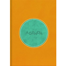 DAYLINER Naptár, tervező, A5, napi, DAYLINER Central, sárga-türkiz (NCEA5STU) határidőnapló