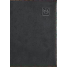 DAYLINER Naptár, tervező, A5, napi, DAYLINER "Square", fekete határidőnapló