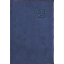 DAYLINER Naptár, tervező, B5, heti, DAYLINER "Square", kék határidőnapló