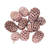 DC Cédrus toboz rózsaszín 10db/cs. dekorációs kellék