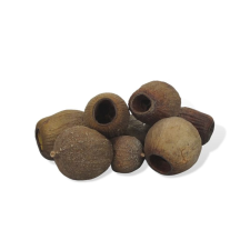 DC Eukalyptus bell gum natúr 1-5cm dekorációs kellék