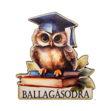 DC Nyomtatott dekorkarton - Ballagásodra bagollyal dekorációs kellék