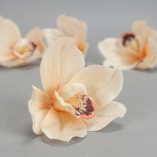 DC Orchidea fej 6cm x 10cm barack dekoráció