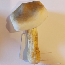 DD Gomba betűzős 13cm (habosított műanyag) dekorációs kellék