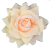 DD Rózsafej 11,5cm selyem halvány rózsaszín