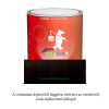 DeBeer Kawasaki metál bázis festék színkód: KAW188 - 45L