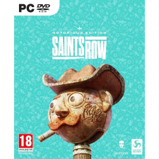 Deep Silver Saints Row Notorious Edition (PC) videójáték