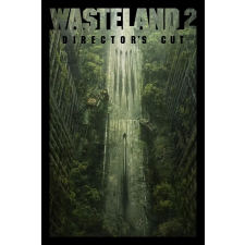 Deep Silver Wasteland 2: Director's Cut (digitális licenc) videójáték