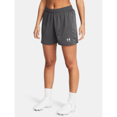 Default Under Armour Short Nõi rövidnadrág Under Armour UA W's Ch. Knit Short-GRY női