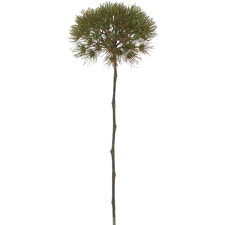 Dekor édesköményág nagy 62 cm barna-zöld dekoráció