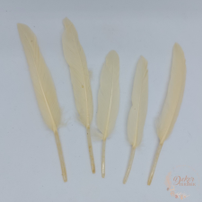  Dekor toll - krém - 10 db dekorációs kellék