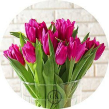 DEKORA Tulipánok vázában tortaostya sütés és főzés