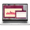 Dell Pro 14 (Platinum Silver) | Intel Core Ultra 7 265U | 64GB DDR5 | 2000GB SSD | 0GB HDD | 14" matt | 1920X1200 (WUXGA) | INTEL Graphics | W11 HOME