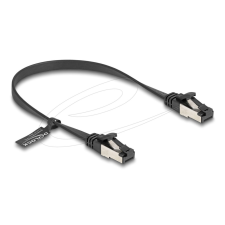 DELOCK CAT8.1 Patch Cable 0,25m Black kábel és adapter