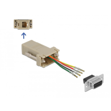 DELOCK D-Sub 9-tűs anya RJ11/RJ14 6P/4C anya összekötő adapter egyéb hálózati eszköz