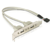 DELOCK Delock Slot konzol 1x belső USB 10 tűs > 2x USB2.0 külső