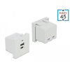 DELOCK Easy 45 USB töltő port modul 1 x A-típusú és 1 x USB Type-C csatlakozó felülettel