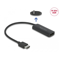DELOCK HDMI - DisplayPort 1.2 anya 4K 60Hz adapter (63206) (del63206) kábel és adapter