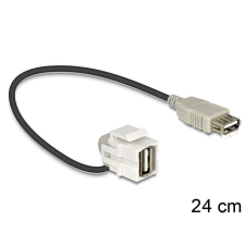 DELOCK Keystone modul USB 2.0 A anya &gt; USB 2.0 A anya 110 kábellel kábel és adapter