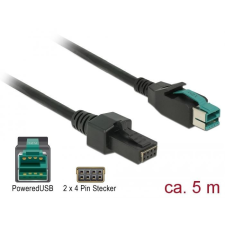 DELOCK Powered USB kábel apa 12 V &gt; 2 x 4 tűs apa 5m (85486) kábel és adapter