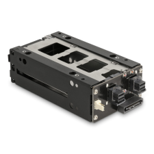 Delock Slim Mobil Rack 2 x 2.5 U.2 NVMe SSD asztali számítógép kellék