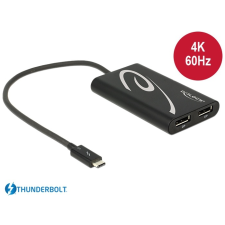 DELOCK Thunderbolt DisplayPort 1.2/1.2a Átalakító Fekete 27cm 62708 kábel és adapter