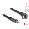 DELOCK USB 2.0 USB Type-C male to USB Type-C male 0,14m Black 80750
