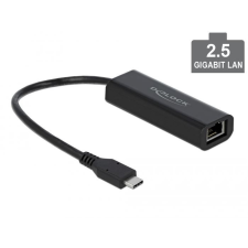 DELOCK USB-C adapter apa- 2,5 Gigabit LAN (66298) kábel és adapter