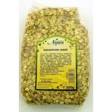 Dénes Natura gyümölcsös müzli 500g reform élelmiszer