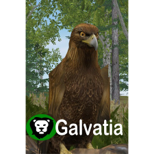 Dev.studio Galvatia (PC - Steam elektronikus játék licensz) videójáték