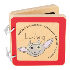 Dřevěn könyv Ludwigról gyermek- és ifjúsági könyv