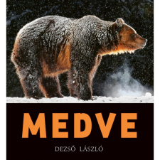 Dezső László MEDVE (BK24-206278) művészet