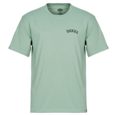 DICKIES Rövid ujjú pólók DICKIES SNAKE SS TEE Zöld EU XL