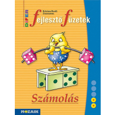 DIFER Fejlesztő füzetek ? Számolás (MS-9330V) tankönyv