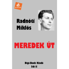 DIGI-BOOK Meredek út szépirodalom