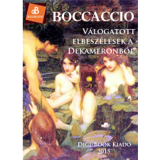 DIGI-BOOK Válogatott elbeszélések szépirodalom