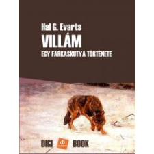 DIGI-BOOK Villám egyéb e-könyv