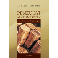 DigitalPaper Pénzügyi alapismeretek - kézikönyv egyéb e-könyv