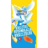 Dimitri Verhulst KRISZTUS BEVONULÁSA BRÜSSZELBE