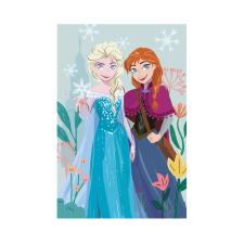 Disney Jégvarázs polár takaró - 100 x 150 cm lakástextília