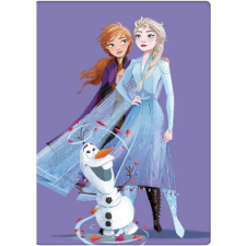 Disney Jégvarázs polár takaró, pléd 100x140 cm Nr1 lakástextília