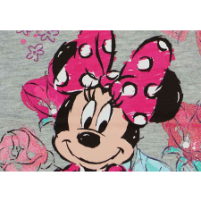  Disney Minnie és Daisy kacsa lányka póló gyerek póló