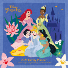 Disney Princess 2025 30X30 Familienplaner naptár, kalendárium