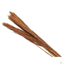  Díszfû barna @ dekorációs kellék