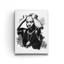 DMX - Vászonkép grafika, keretezett kép