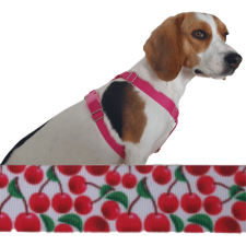 Dogledesign Cseresznye kutyahám nyakörv, póráz, hám kutyáknak
