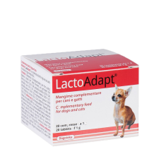 Dogoteka Lactoadapt - pre/probiotikum 20db tabletta vitamin, táplálékkiegészítő kutyáknak