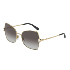 Dolce & Gabbana DG2284B 02/8G