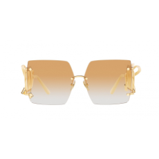 Dolce & Gabbana DG2287 02/2Q
