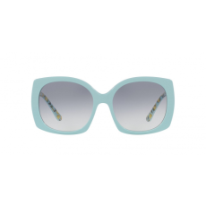 Dolce & Gabbana DG4385 336979